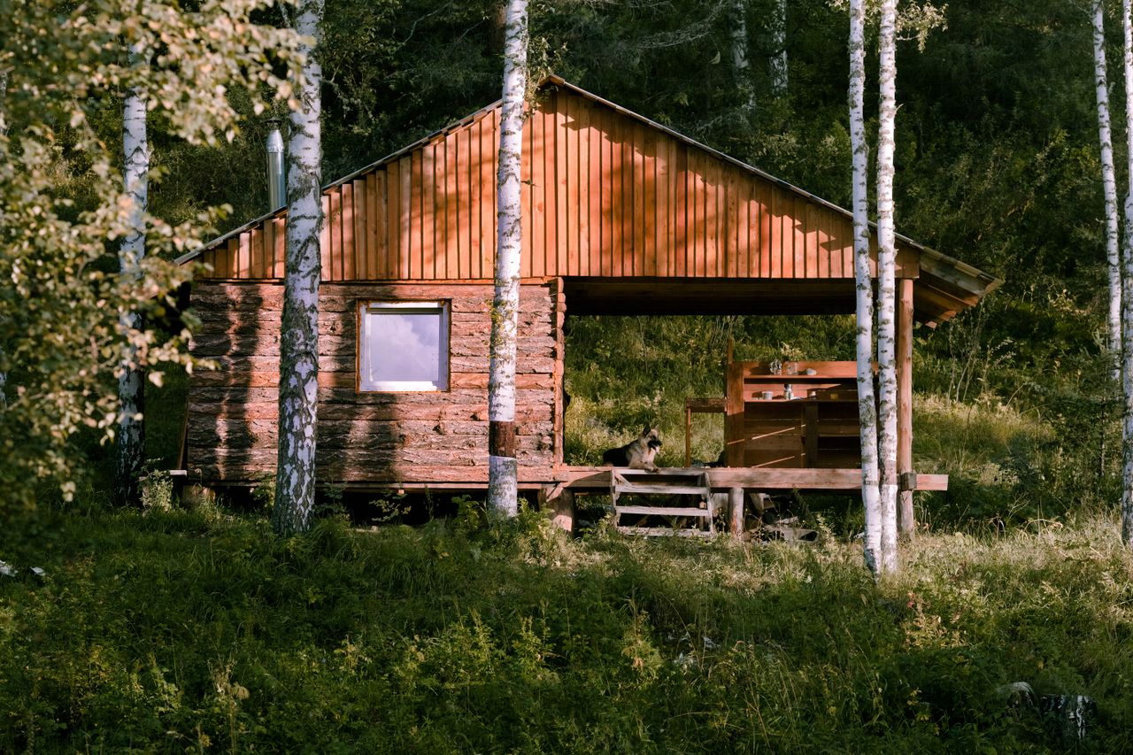 Cabaña de madera rodeada de árboles y pasto verde.