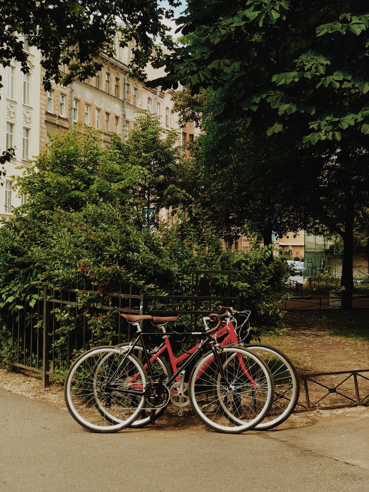 Dos bicicletas de ruta apoyadas en una cerca en un parque.